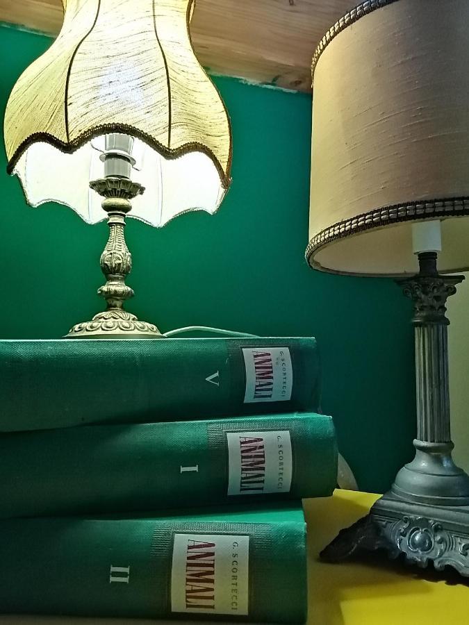 Auberge De La Gare - Dortoir & Ostello Hone 外观 照片